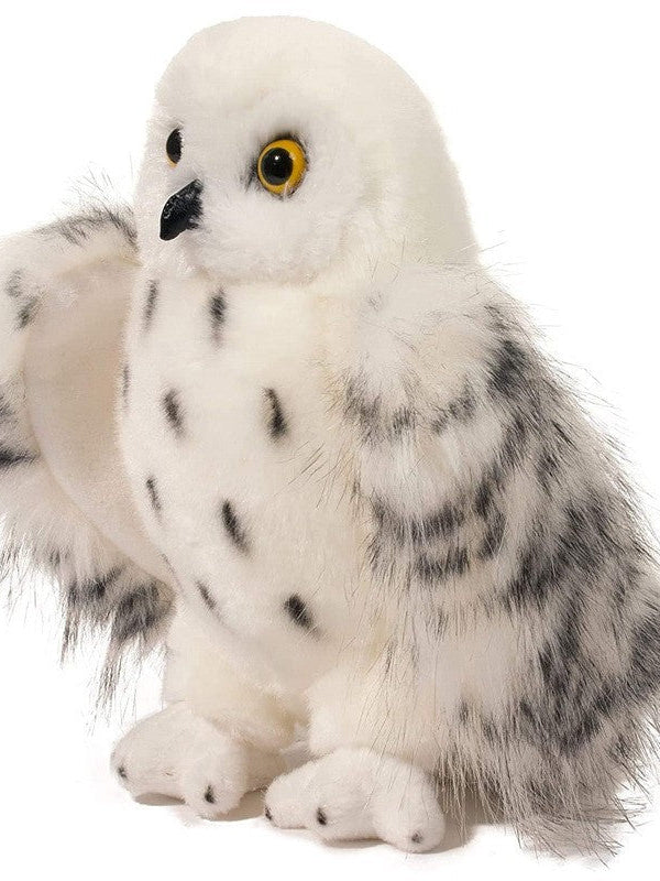 Hedwig Owl | Harry Potter