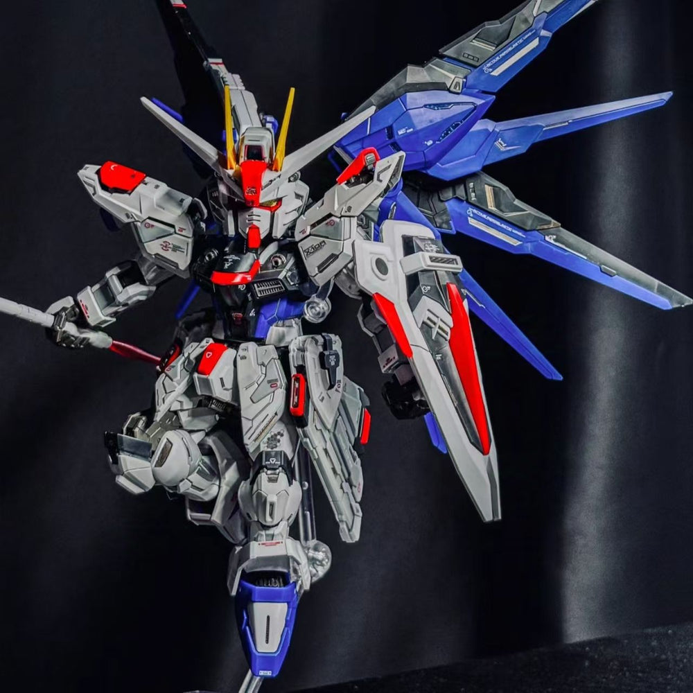 Gundam Strike freedom | Gaogao | MGSD