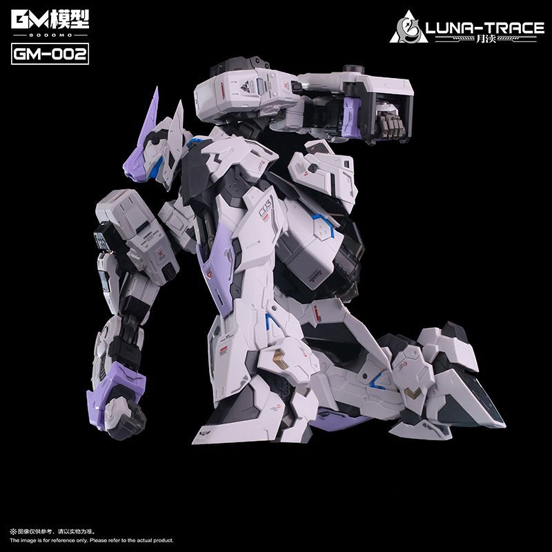 GM-002 Yue Du | GODOMO | 1/72